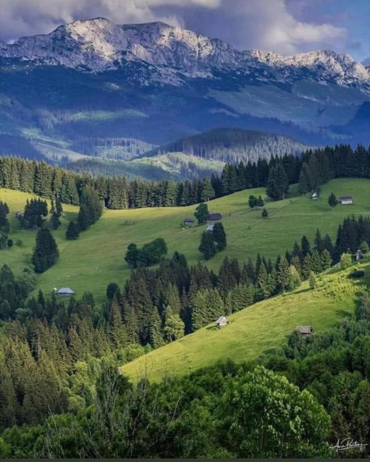 Casa Maria Moieciu C Hotell Moeciu De Sus Eksteriør bilde